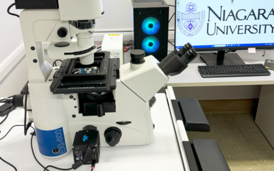 STEM Camp Pictures gallery #2
